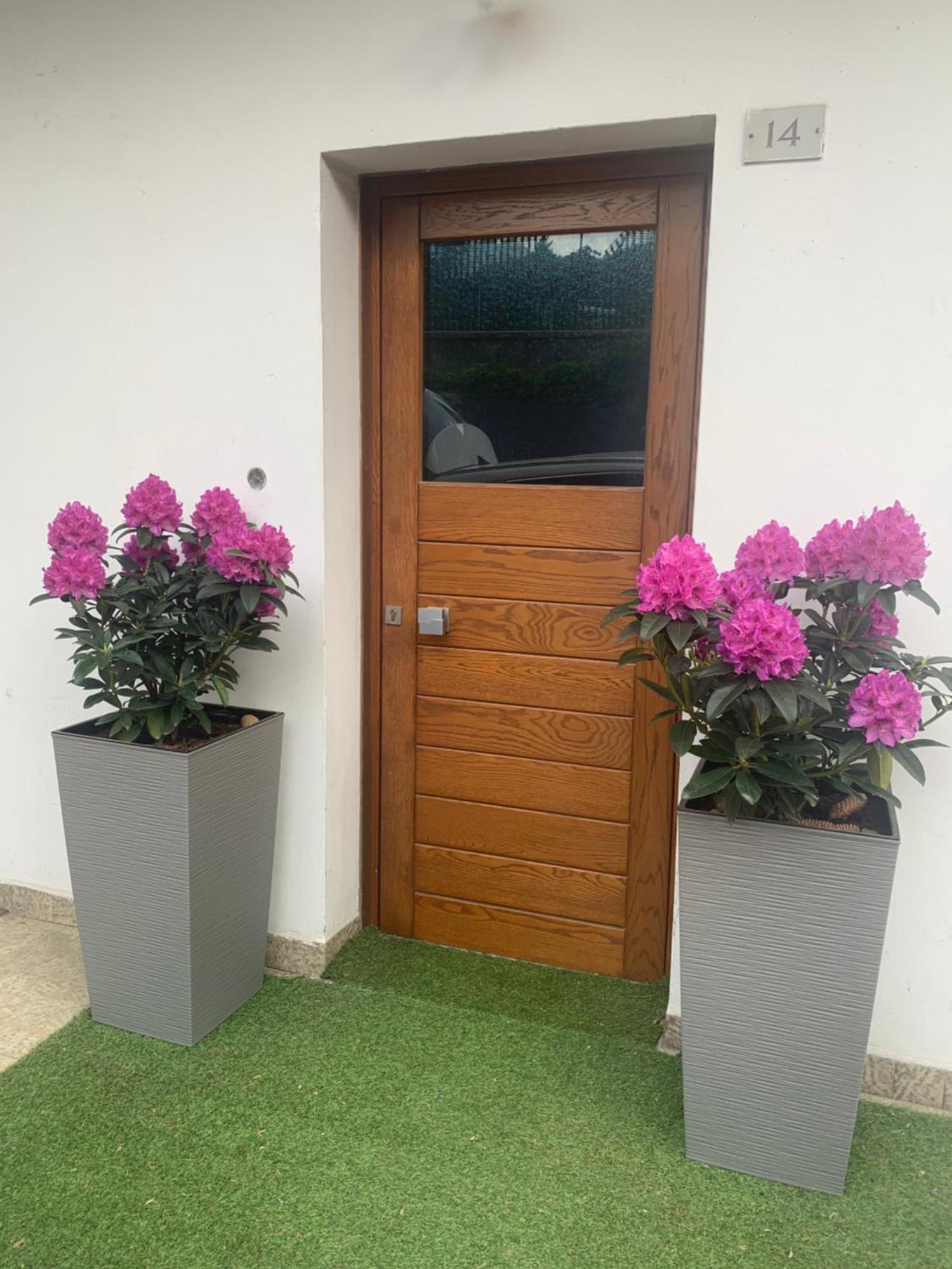 Appartamento Carducci Pieve di Cadore Exterior photo